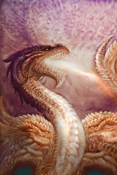 Flame Light by Ciruelo canvas print