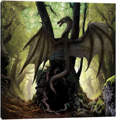 Dragon Cave Canvas Art Print - Dragon Art