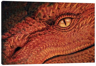 Dragon Eye Canvas Art Print - Dragon Art