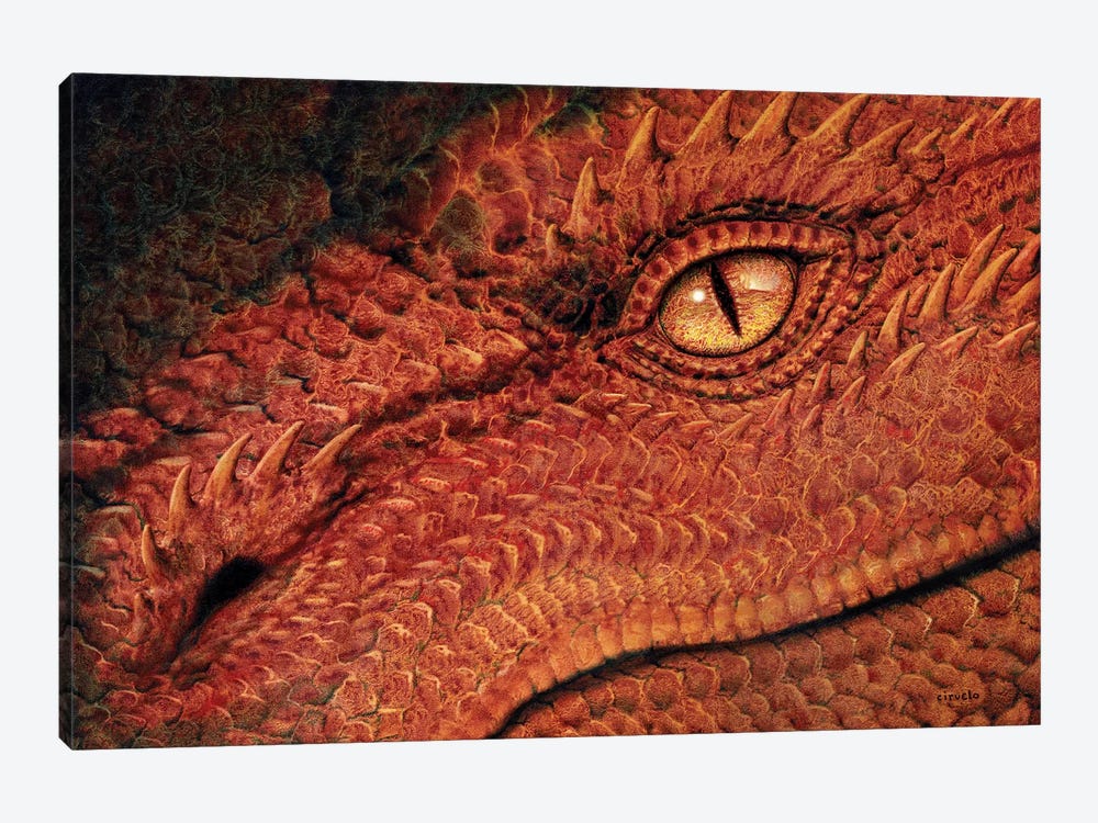 Dragon Eye by Ciruelo 1-piece Canvas Art Print