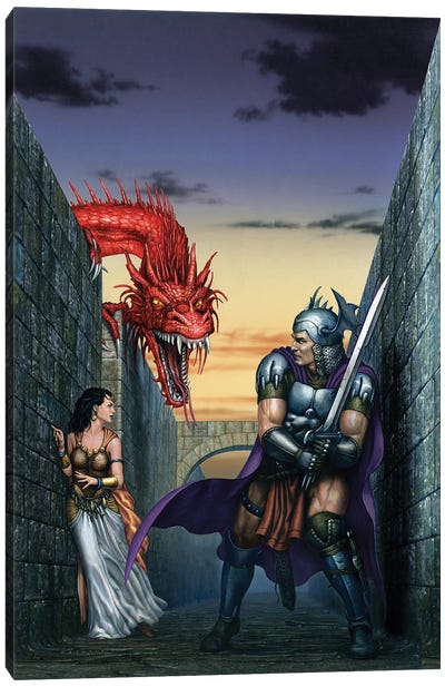 Dragon Maze Canvas Art Print - Ciruelo