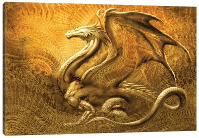 Dragon V Canvas Art Print - Ciruelo