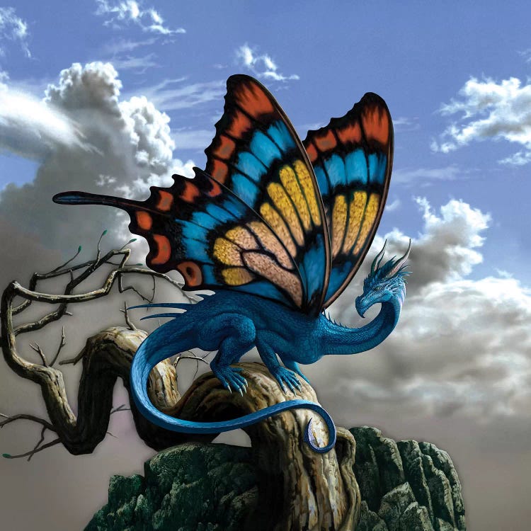 Drakerfly by Ciruelo wall art