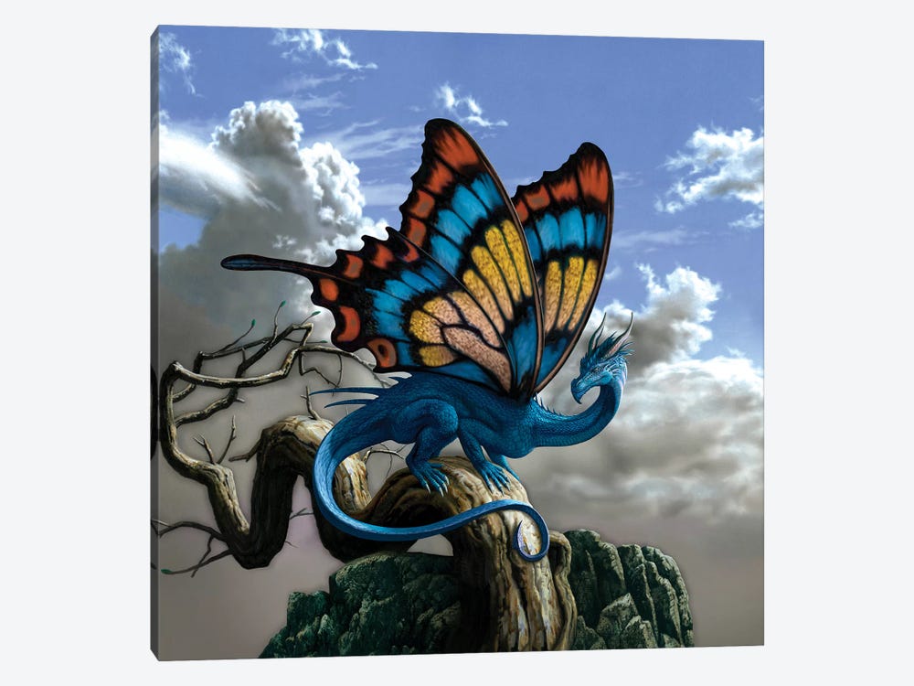 Drakerfly by Ciruelo 1-piece Canvas Art