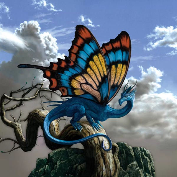 Ciruelo: Drakerfly by Ciruelo