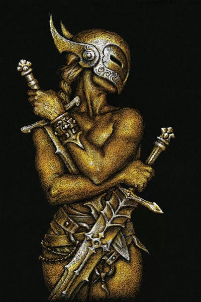 Amazona III by Ciruelo framed wall art