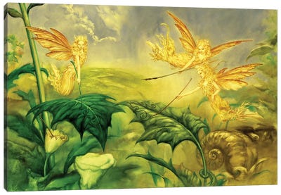 Fairy Artists Canvas Art Print - Ciruelo