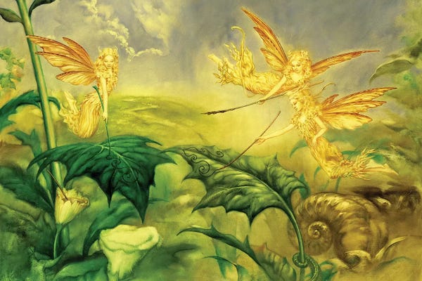 The Secret Lives Of Fairies: Fairy Artists by Ciruelo