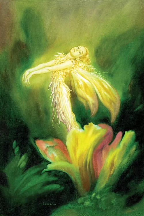 Flower Fairy by Ciruelo wall art