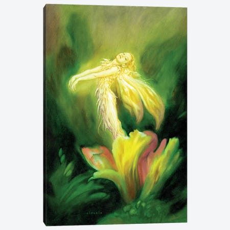 Flower Fairy Canvas Print #CIL49} by Ciruelo Canvas Art Print