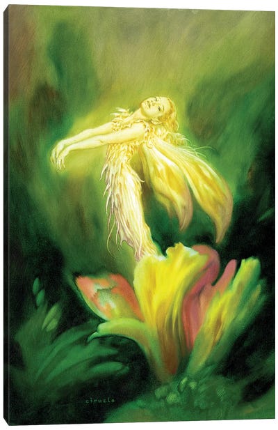 Flower Fairy Canvas Art Print - Ciruelo