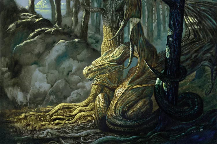 Forest Dweller by Ciruelo wall art