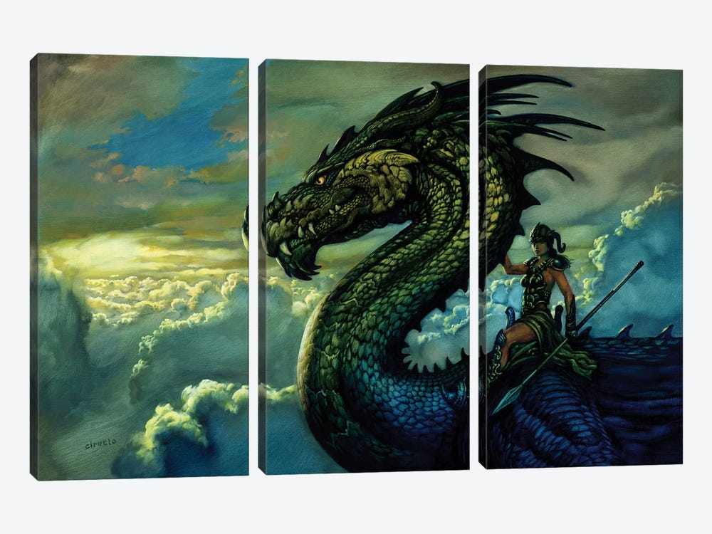 Amazon Dragon by Ciruelo 3-piece Canvas Art