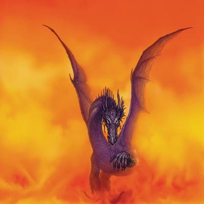 Naras Dragon by Ciruelo canvas print