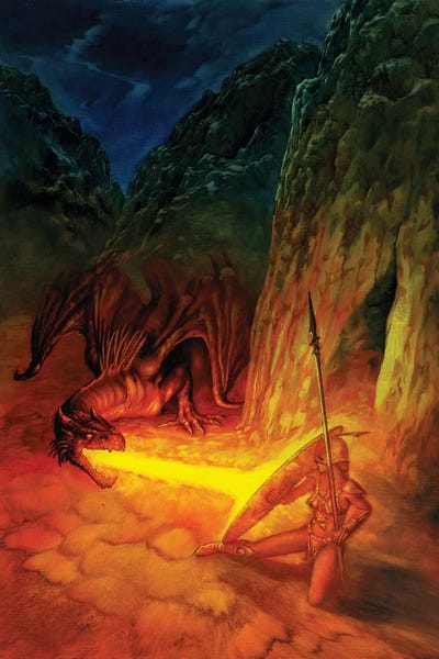 Ciruelo: Red Amazon by Ciruelo