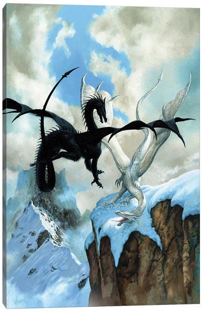 Battle Dragon Canvas Art Print - Ciruelo
