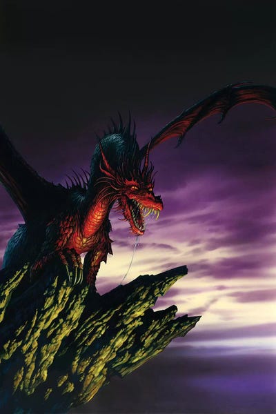 Vigilant D by Ciruelo framed wall art