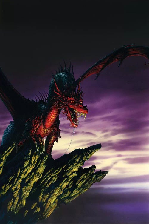 Vigilant D by Ciruelo wall art