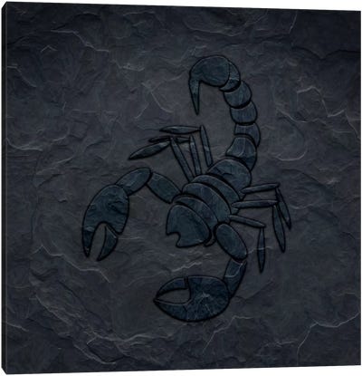 Ready To Attack Canvas Art Print - Scorpion Art