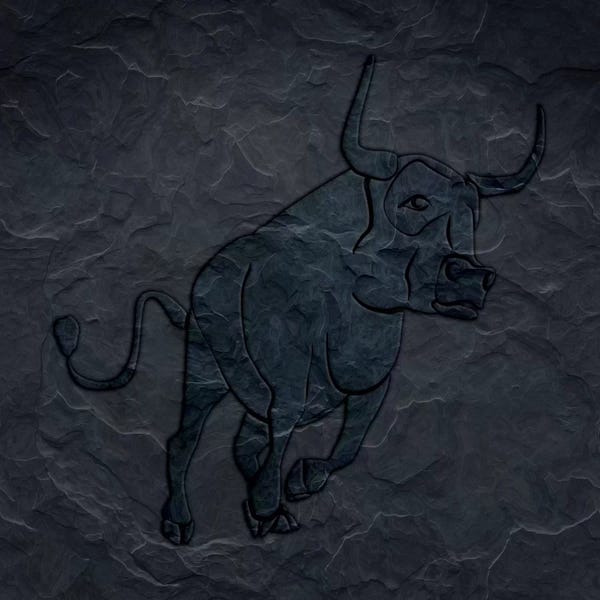 Bulls: Charging To Victory by 5by5collective