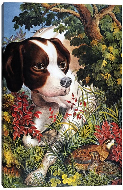 Currier & Ives: Dog, 1866 Canvas Art Print - Animal Illustrations