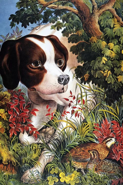 Currier & Ives: Dog, 1866