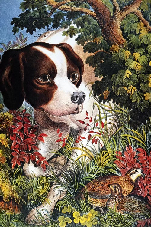 Currier & Ives: Dog, 1866 by Currier & Ives wall art