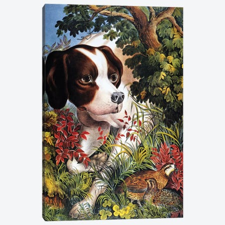 Currier & Ives: Dog, 1866 Canvas Print #CIV4} by Currier & Ives Canvas Artwork