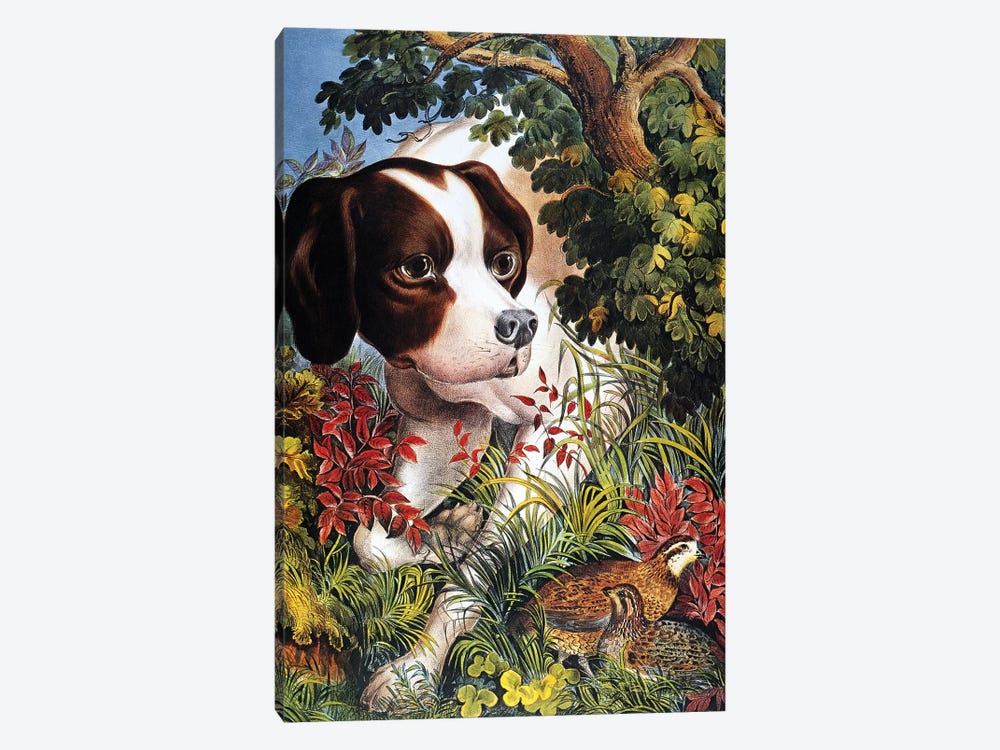 Currier & Ives: Dog, 1866 by Currier & Ives 1-piece Canvas Print