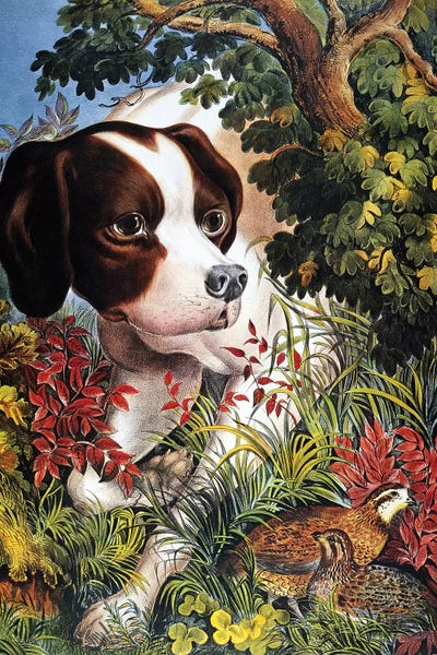 The Granger Collection: Currier & Ives: Dog, 1866 by Currier & Ives