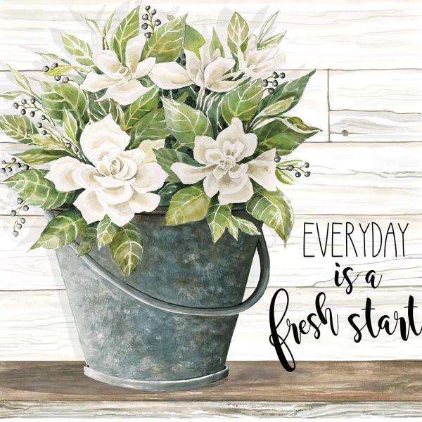 Penny Lane Publishing: Everyday is a Fresh Start by Cindy Jacobs