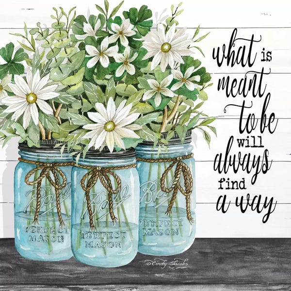 Daisies: Blue Jars - What is Meant to Be by Cindy Jacobs