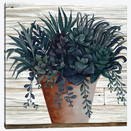 Remarkable Succulents I Canvas Print #CJA244} by Cindy Jacobs Canvas Art