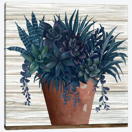 Remarkable Succulents II Canvas Print #CJA245} by Cindy Jacobs Canvas Wall Art