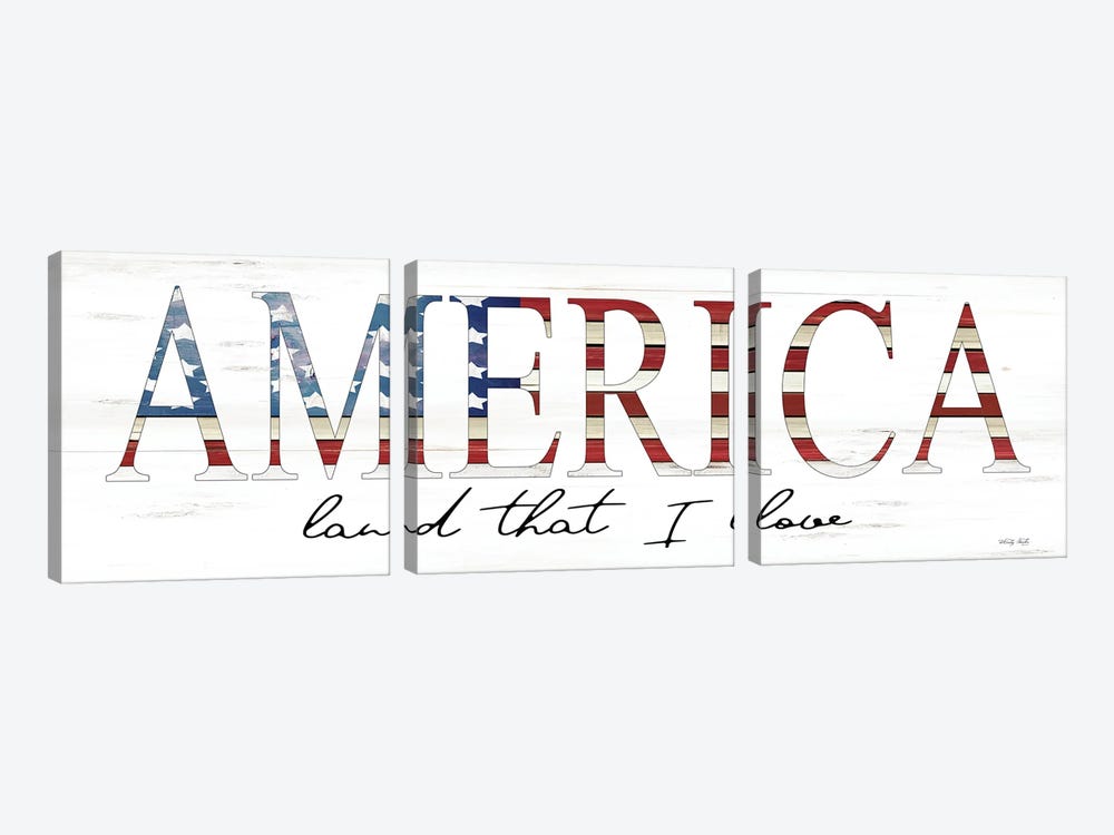 America Land That I Love 3-piece Canvas Art Print