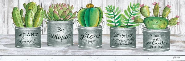Galvanized Pot Succulents I