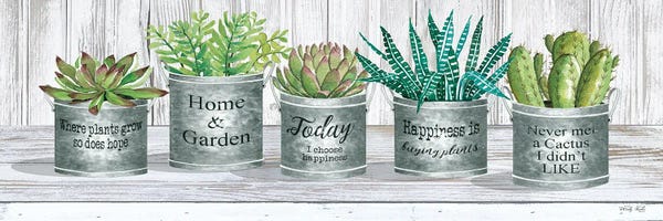 Succulents: Galvanized Pot Succulents II by Cindy Jacobs