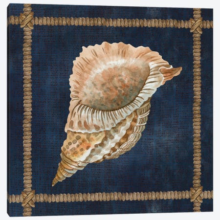 Seashell on Navy VI Canvas Print #CJA274} by Cindy Jacobs Canvas Art Print