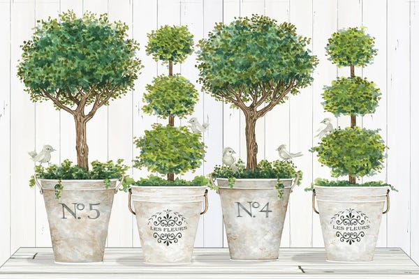 Still Life: Topiary Still Life by Cindy Jacobs