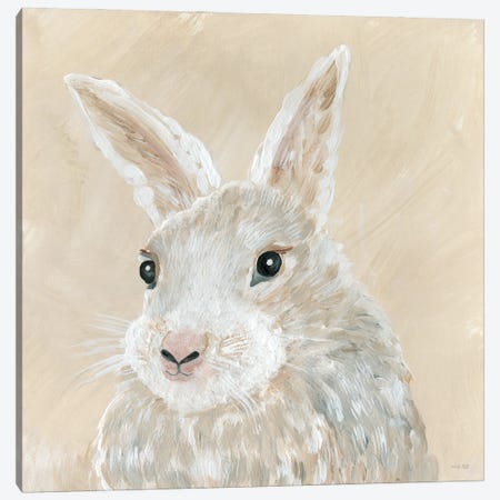 Benny the Bunny Canvas Print #CJA279} by Cindy Jacobs Canvas Art