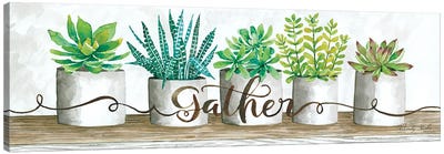 Gather Succulent Pots Canvas Art Print - Cindy Jacobs