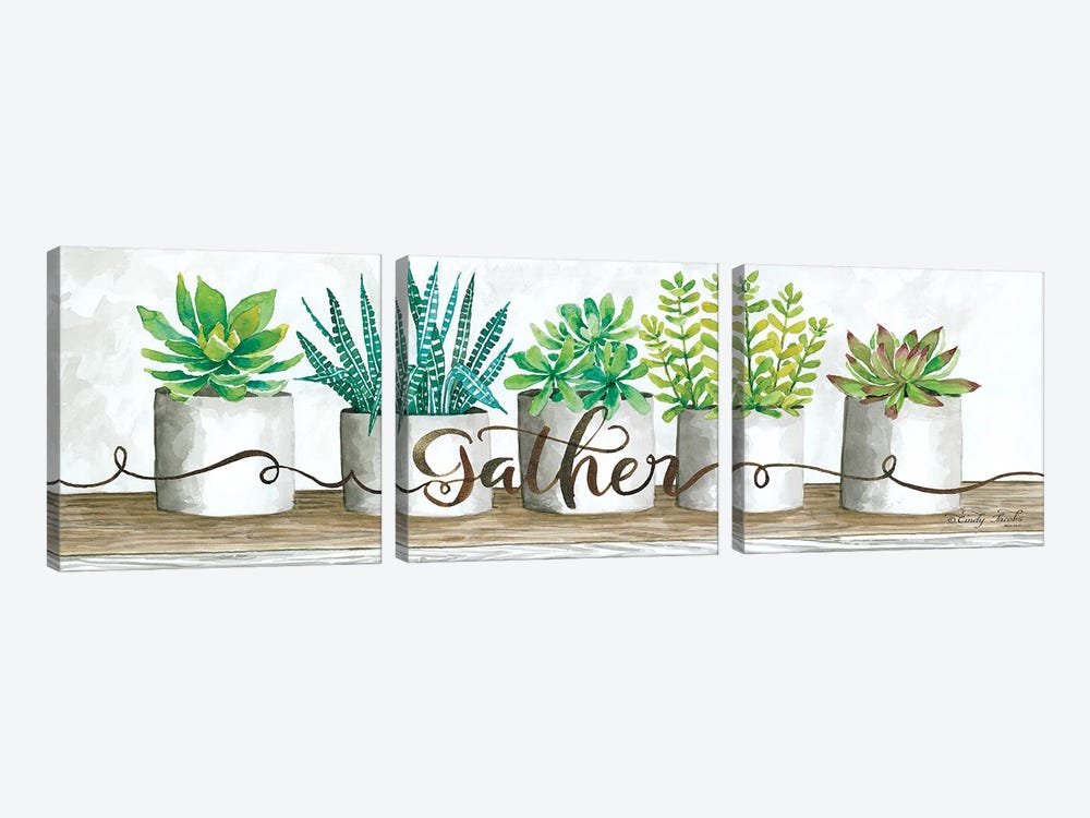 Gather Succulent Pots by Cindy Jacobs 3-piece Canvas Wall Art