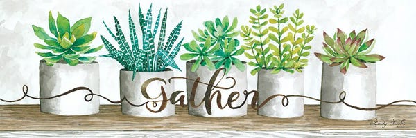 Succulents: Gather Succulent Pots by Cindy Jacobs