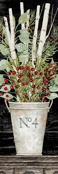 Christmas Signs & Sentiments: No. 4 Christmas by Cindy Jacobs