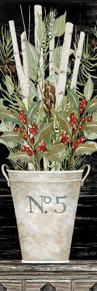 Botanical Still Life: No. 5 Christmas by Cindy Jacobs