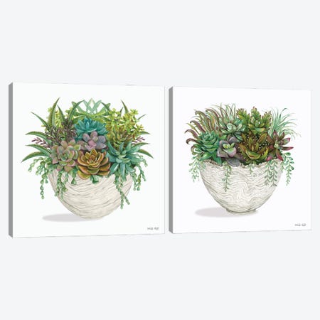 White Wood Succulent Diptych Canvas Print Set #CJA2HSET001} by Cindy Jacobs Canvas Wall Art