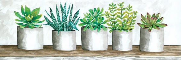 Succulents: Succulent Pots by Cindy Jacobs