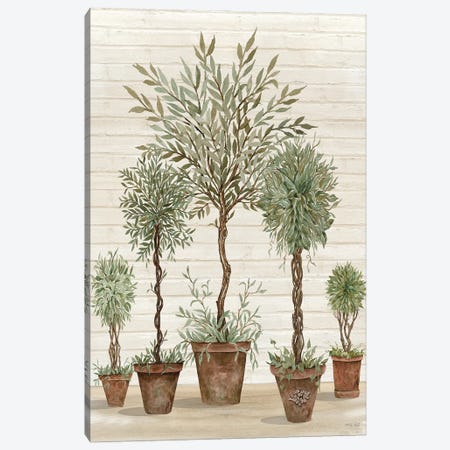 Potted Tree Collection Canvas Print #CJA310} by Cindy Jacobs Canvas Art Print