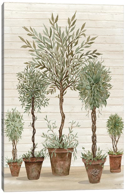 Potted Tree Collection Canvas Art Print - Cindy Jacobs