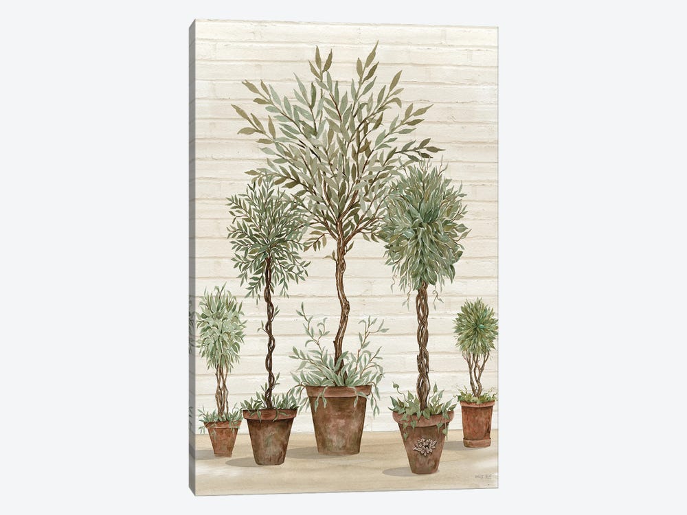 Potted Tree Collection by Cindy Jacobs 1-piece Canvas Art Print